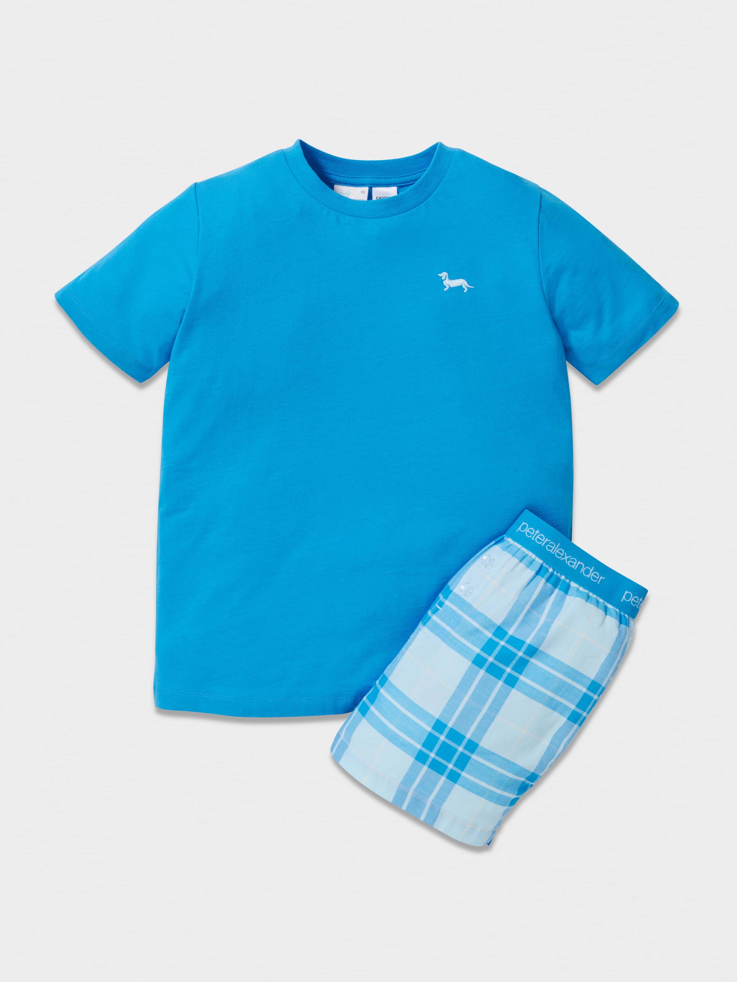Boys Blue Check Pj Set