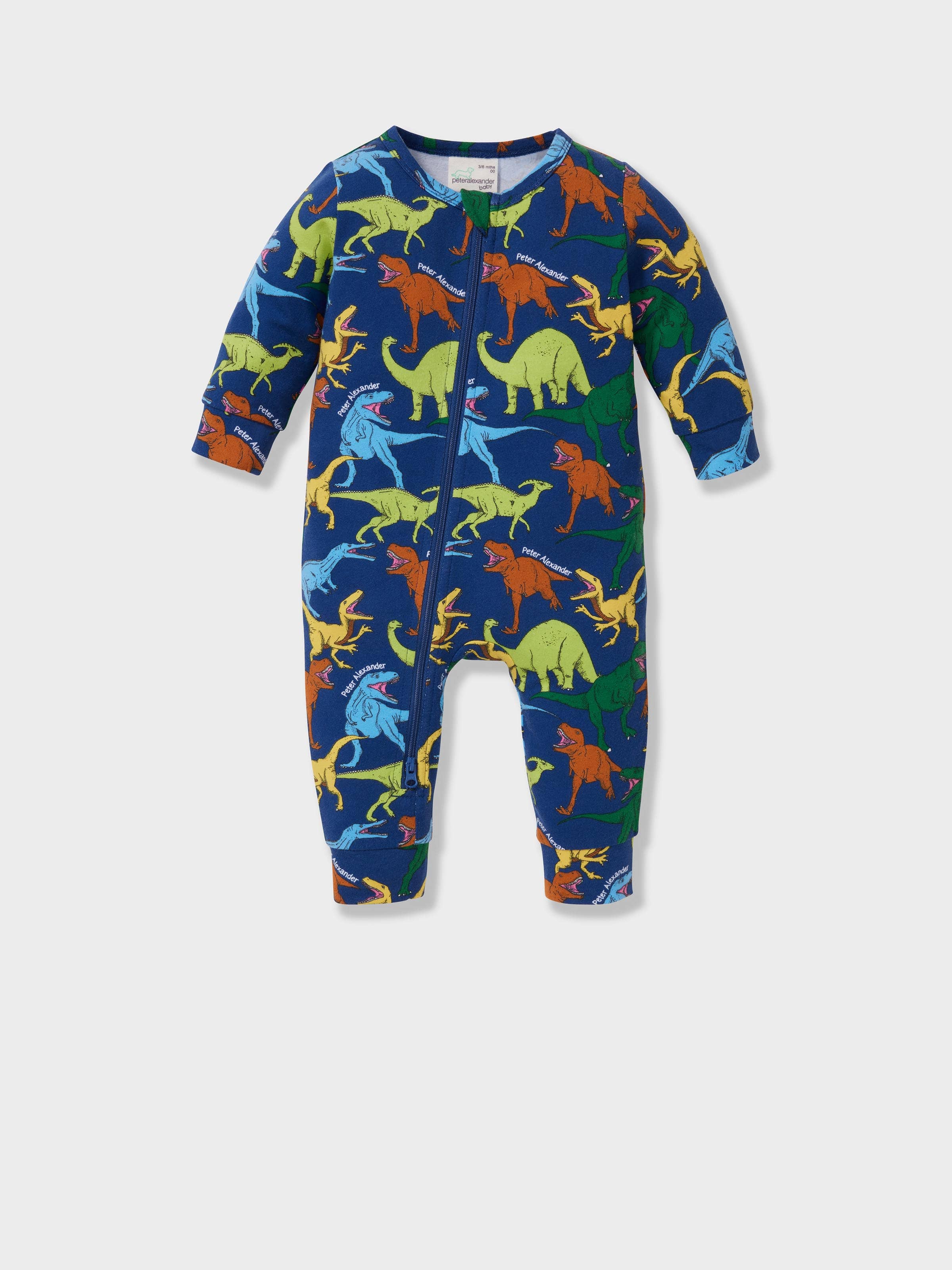 Baby Dinosaur Onesie