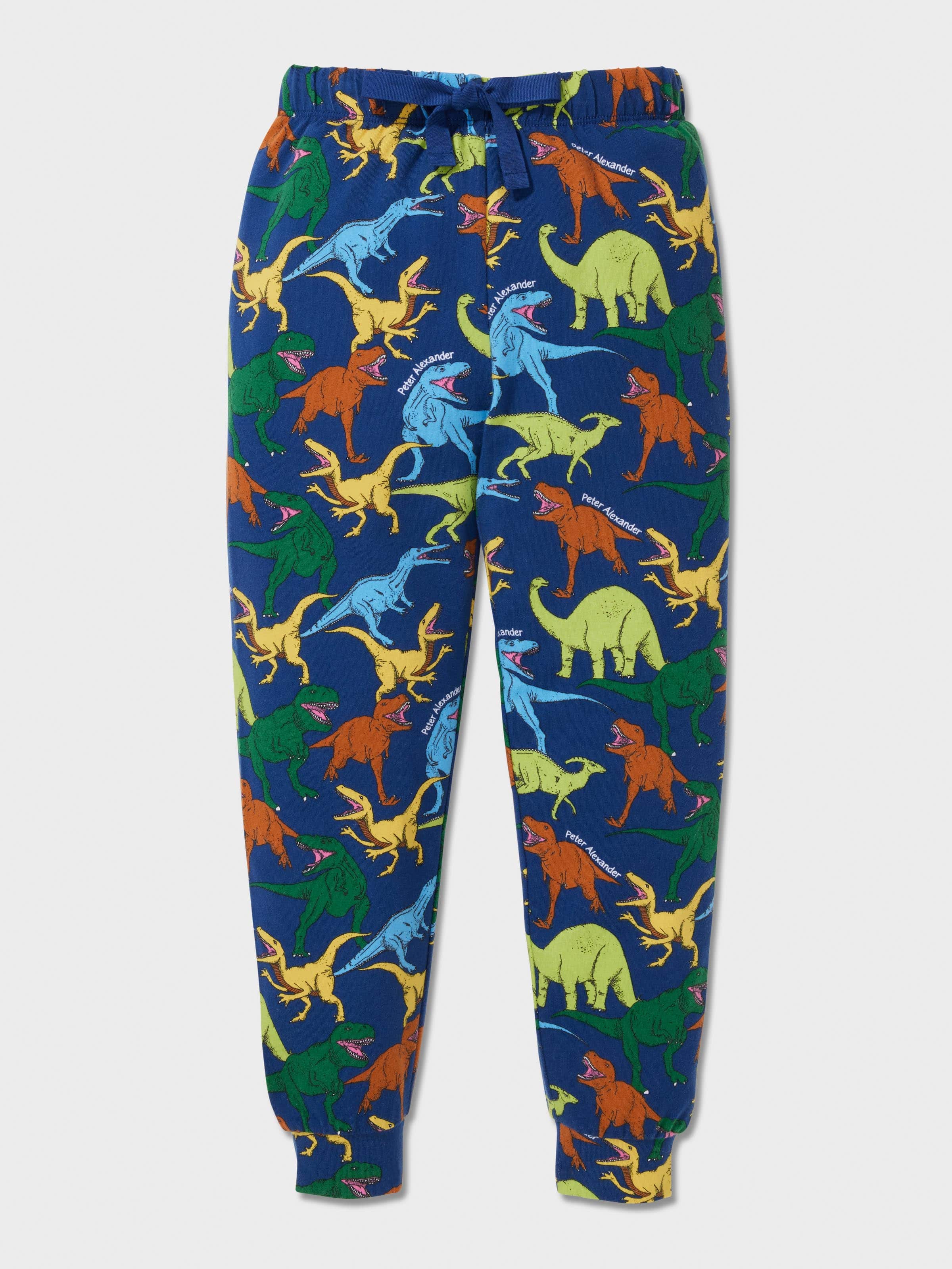 Jnr Boys Dino Long Pj Set