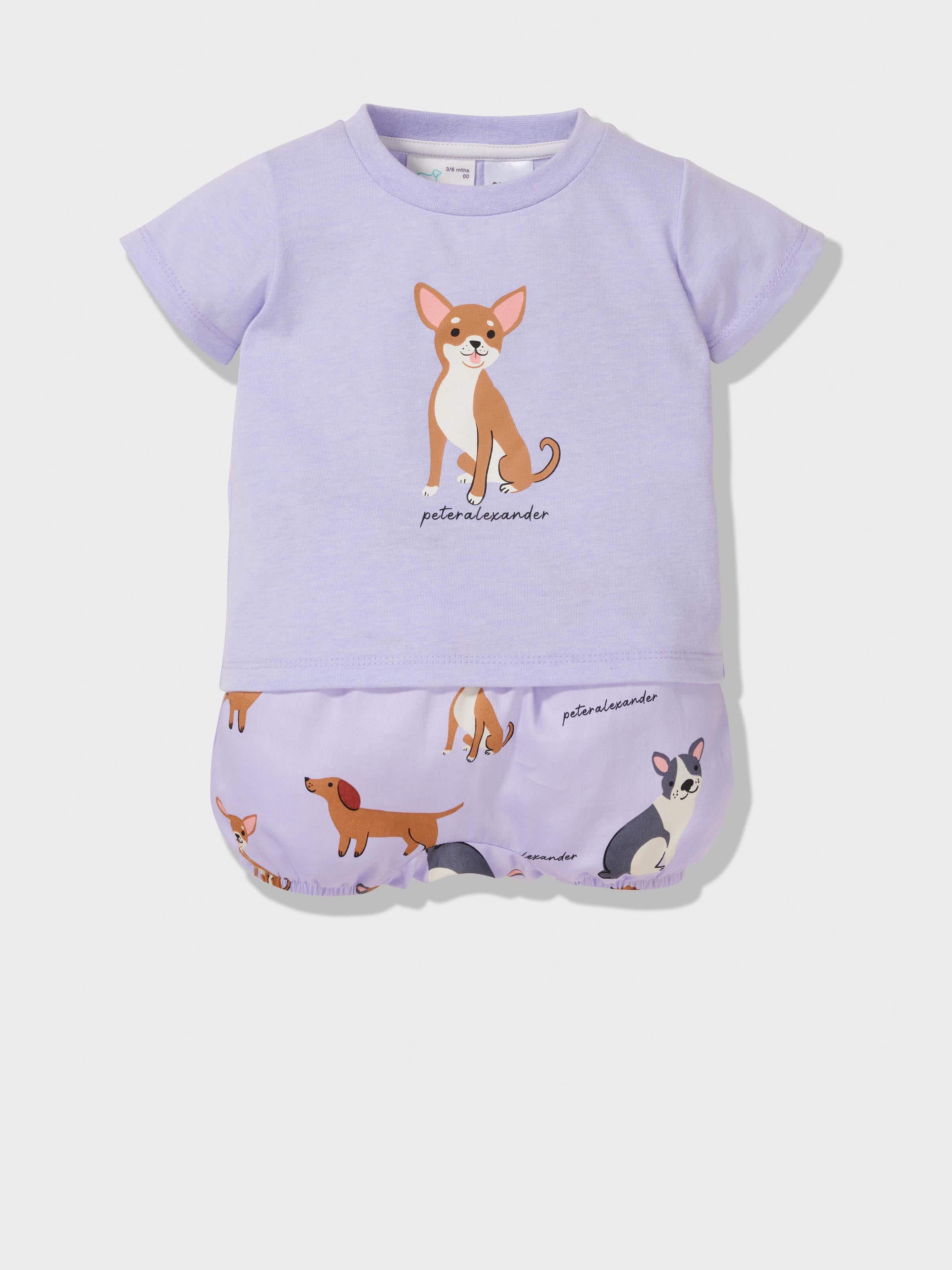Baby Chihuahua Pj Set