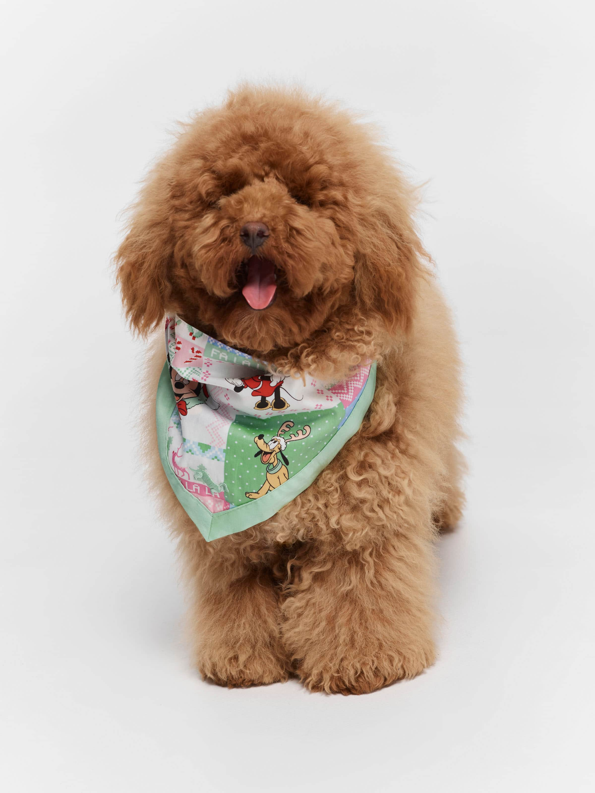 Gifts For Dogs Pups Dog Toys Clothes Peter Alexander