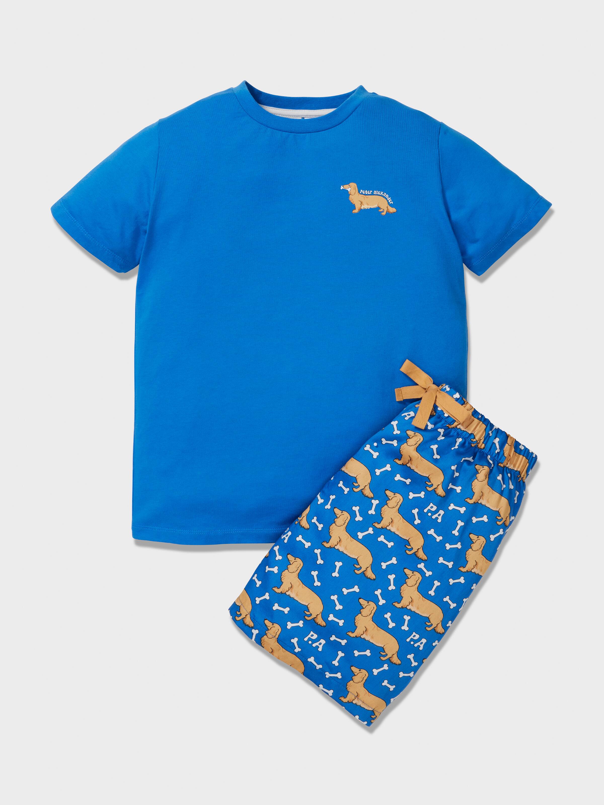 Boys Blue Penny Pj Set