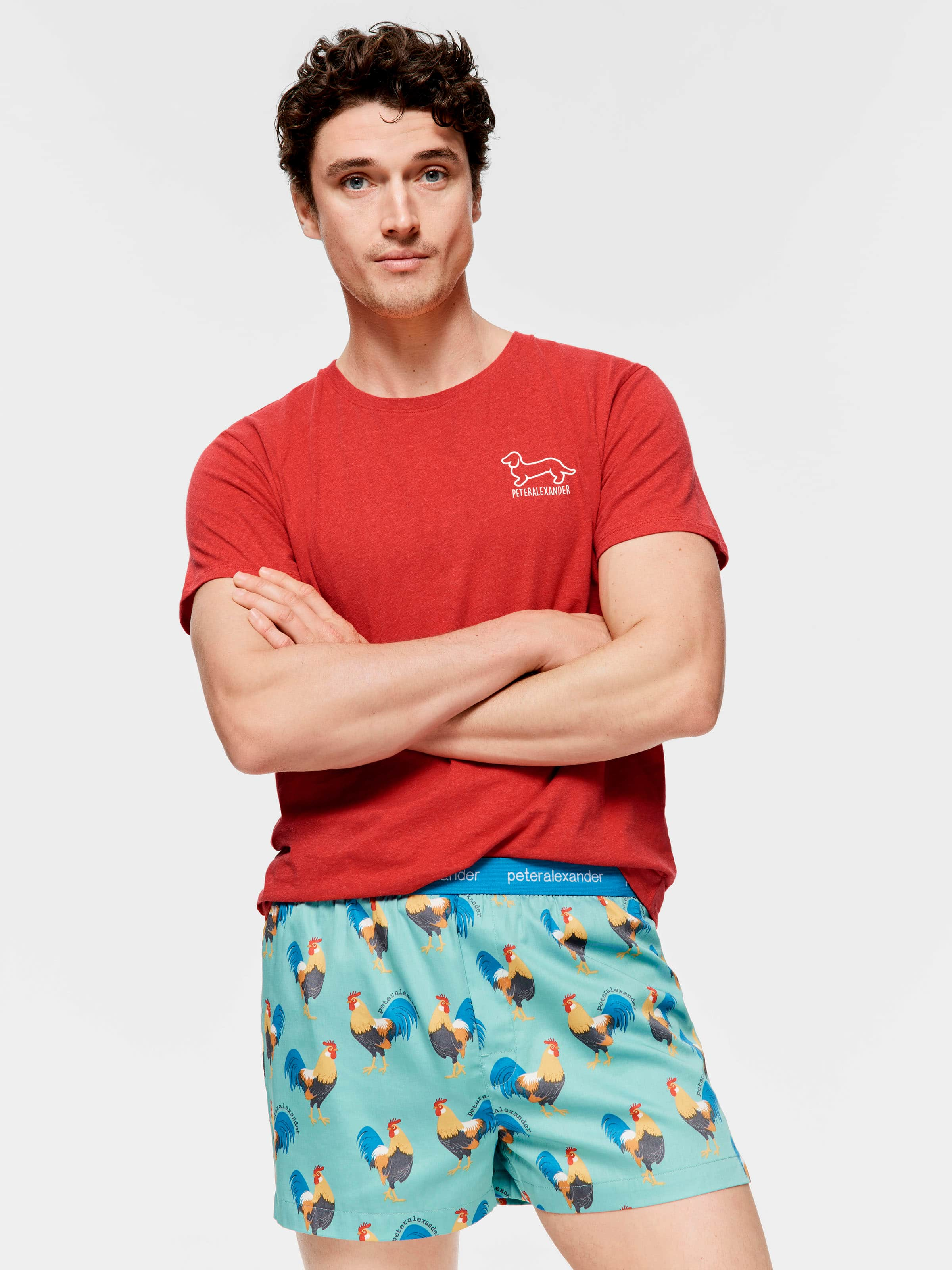 Mens shorts pyjamas sale sale