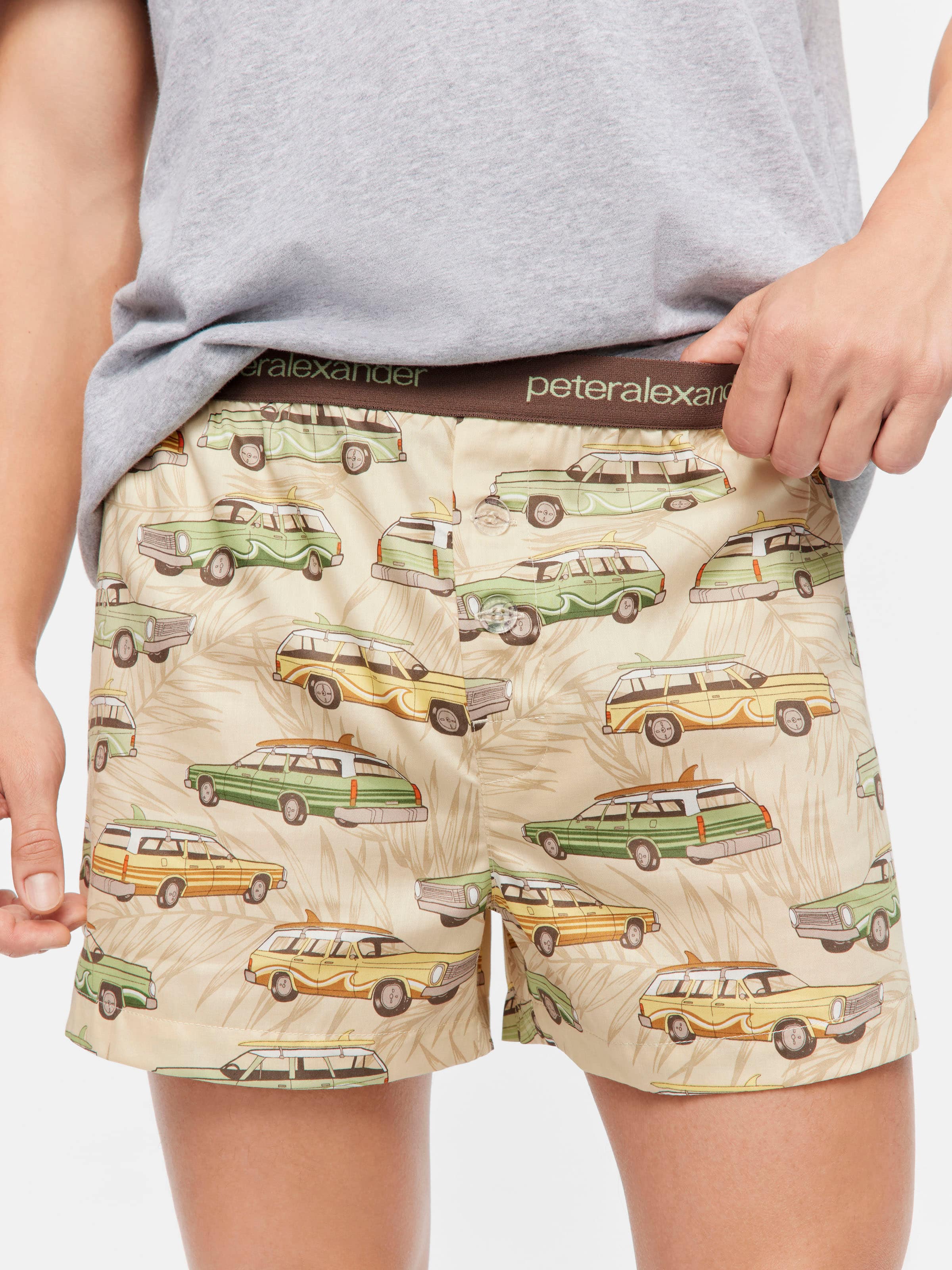 Beach Van Boxer Short