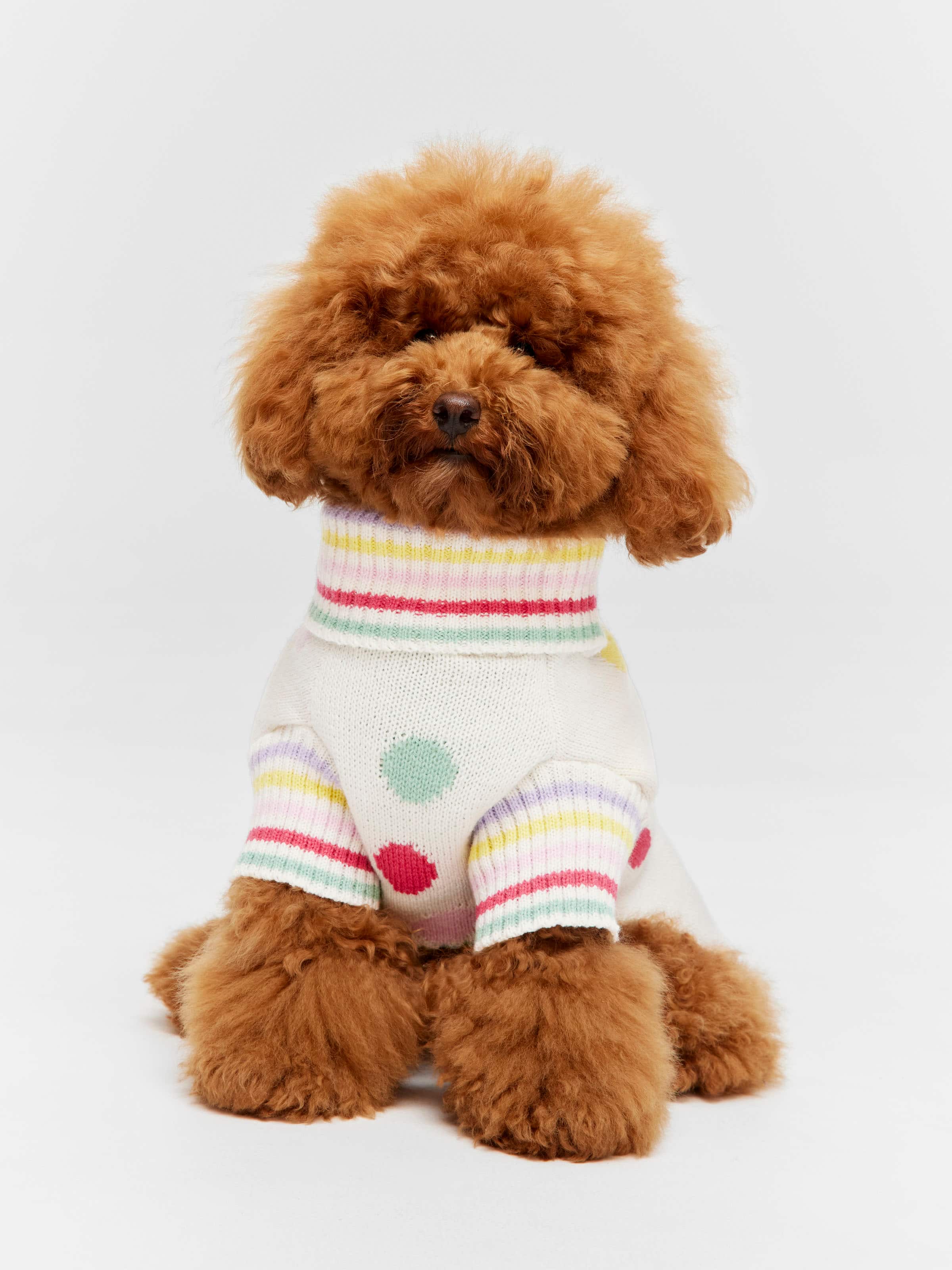 Knitted Dog Tee