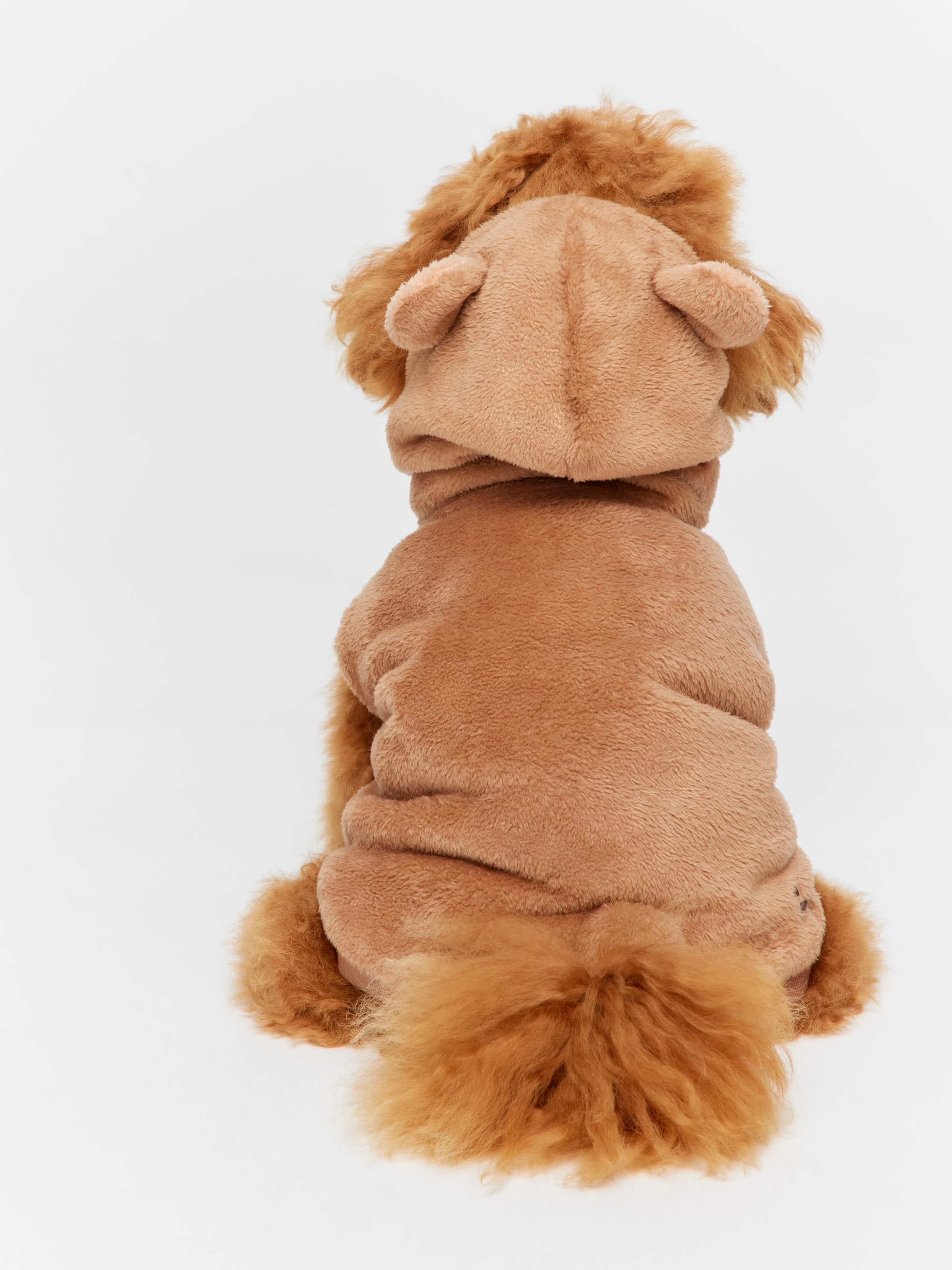 Teddy Dog Hoodie