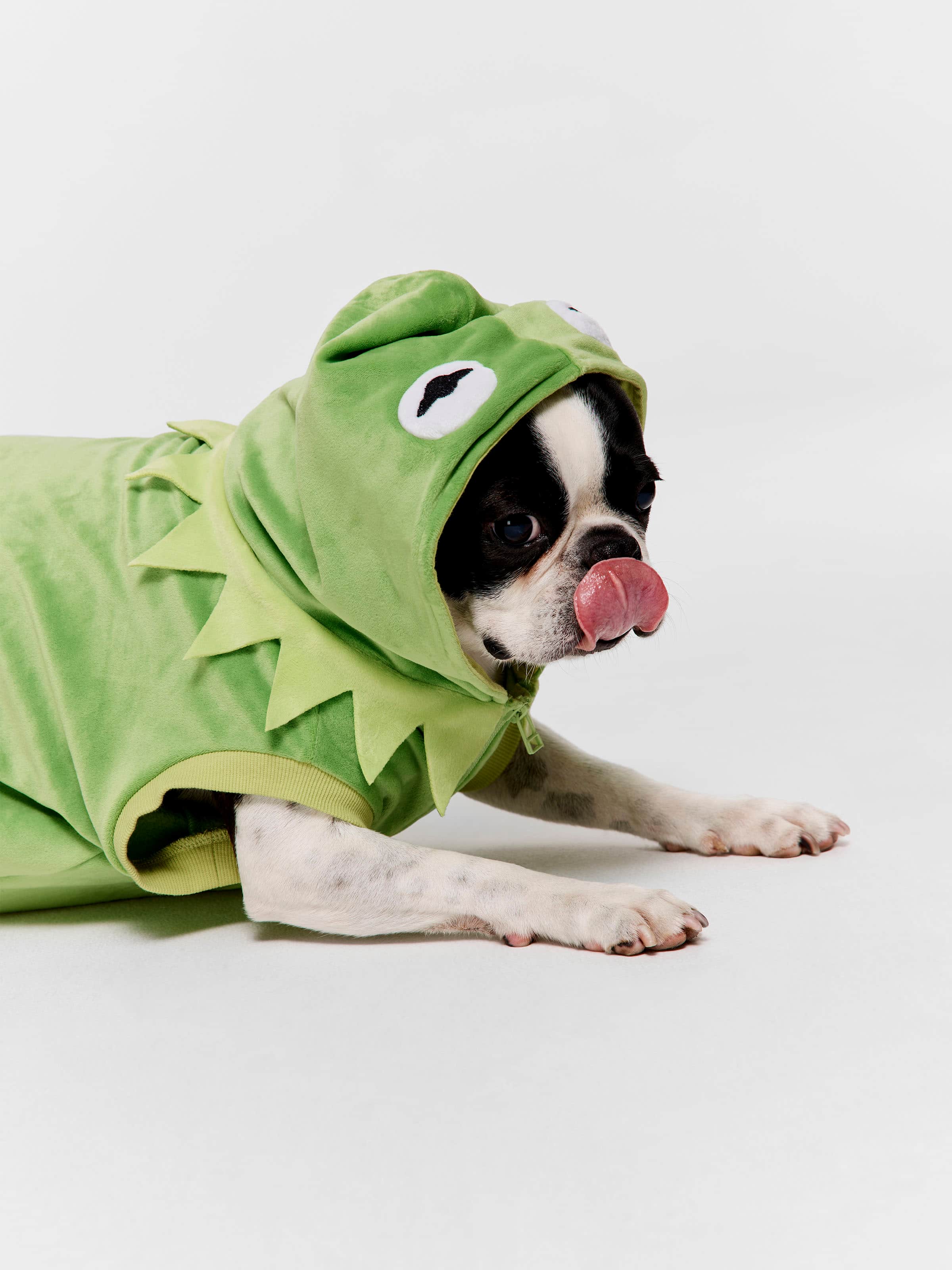 Kermit Dog Hoodie